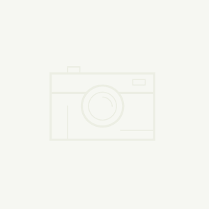 電子開(kāi)發(fā)工程師